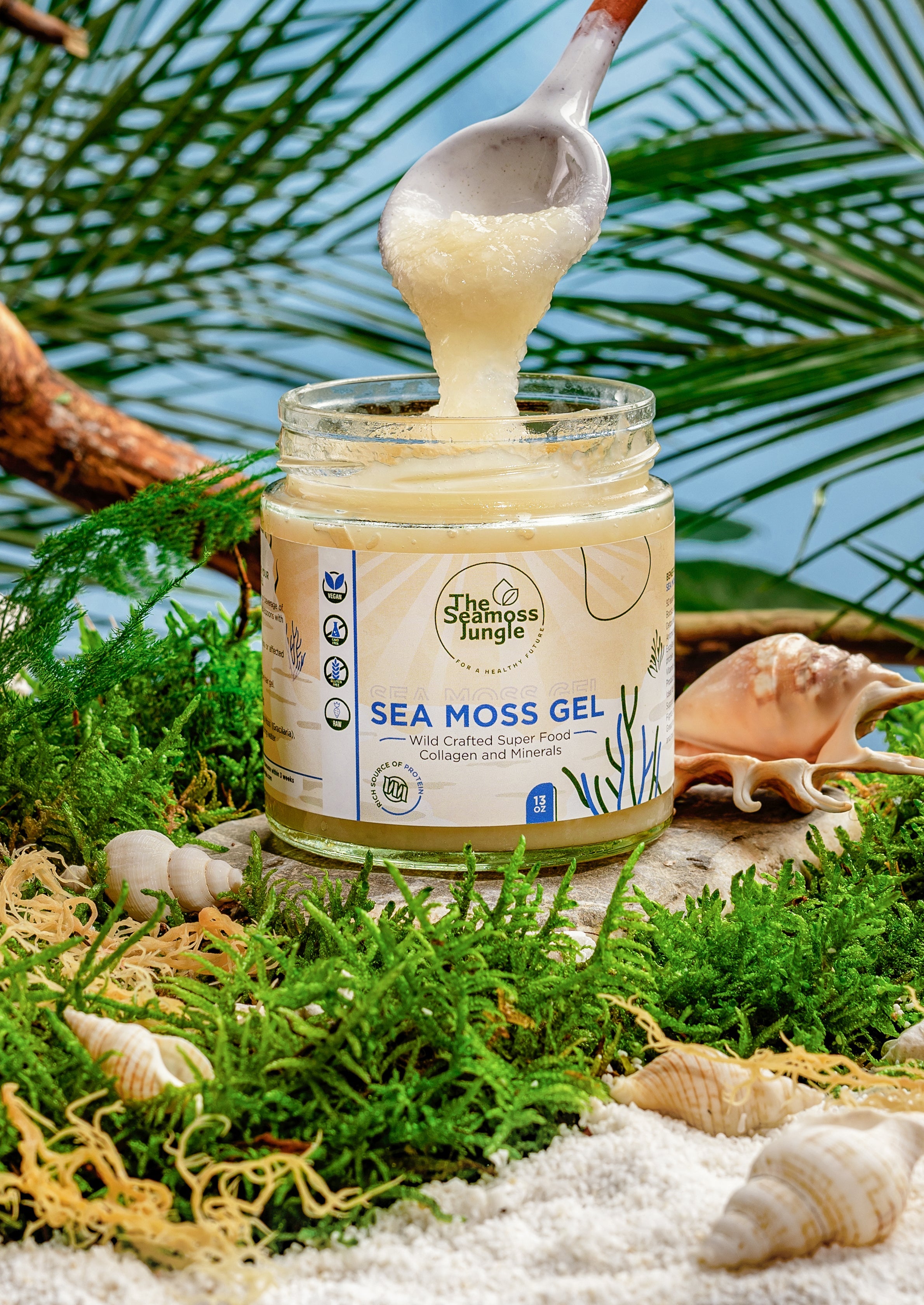 Sea moss gel selber machen: einfaches Rezept mit Moos