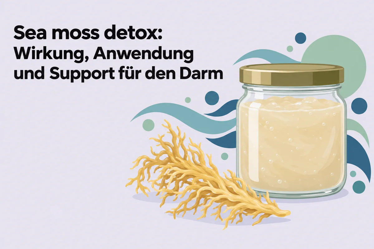 Sea moss detox: Wirkung, Anwendung und Support für den Darm