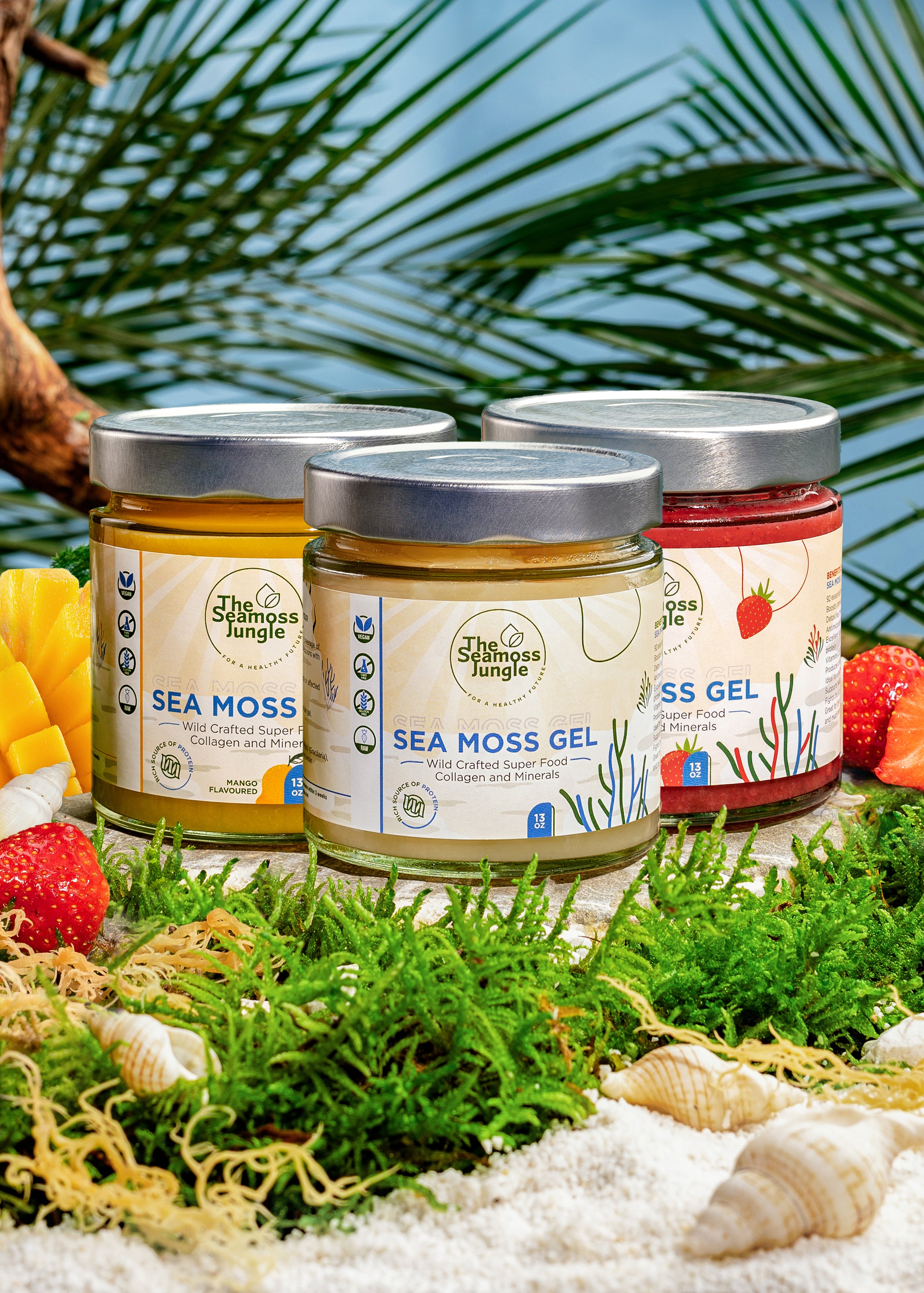 Sea Moss Gel - Familiebundel