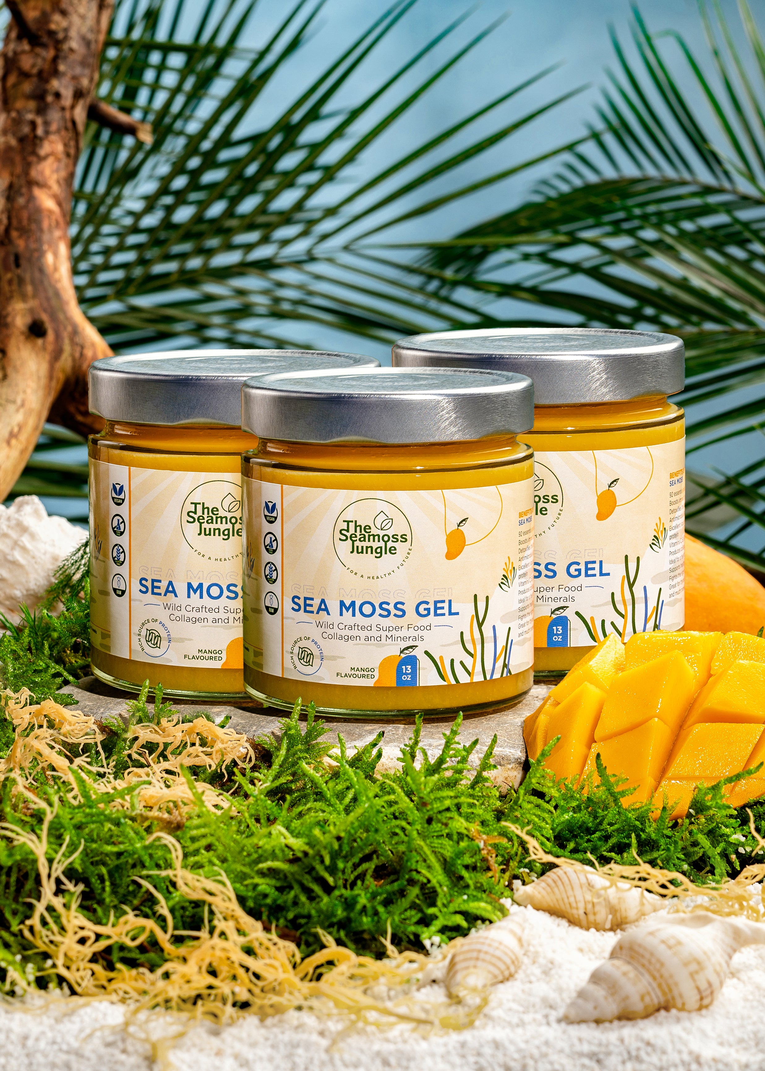 Sea Moss Gel - 3 Potten